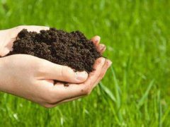 「化肥检测」肥料检测项目有哪些?